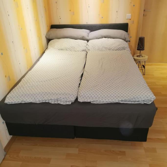 Fewo Albrecht Direkt Am Diemelsteig Diemelsee Esterno foto