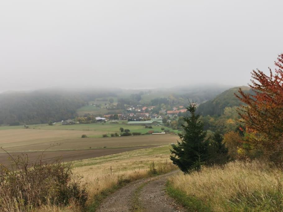 Fewo Albrecht Direkt Am Diemelsteig Diemelsee Esterno foto